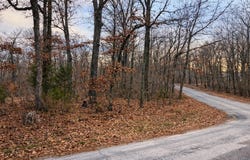 Acres Road, Williford, AR 72482