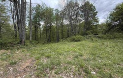 1154 Brady Gate Road, Valley Head, WV 26294