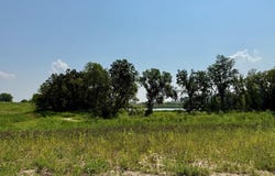 7525 California Love Trail lot: 41, Middleton, WI 53562