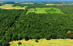 CR 3613, MURCHISON, TX 75758