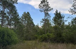 Poppy Drive, Moss Point, MS 39562