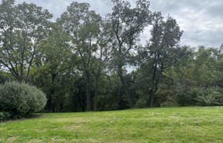 29 Cedar Rim Trail, GALENA, IL 61036