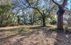 Morris Street, Geneva, AL 36340