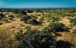 W Hwy 29, Llano, TX 78643