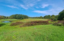 155 Hutton Rd, Gouverneur, NY 13642