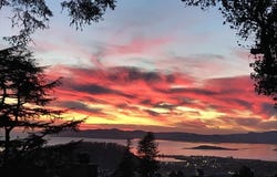 402 Vermont Avenue, Berkeley, CA 94707