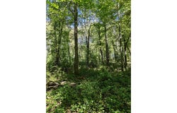 5000 Stone Oak Drive, Jackson, MI 49201