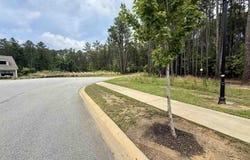 Lot 85 Timber Trail Lane, Prosperity, SC 29127