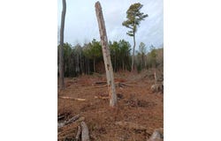 Lot SHERWOOD DR lot: 9, BLOXOM, VA 23308