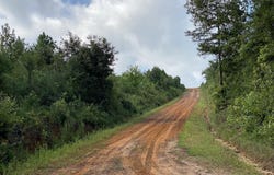 County Road 394, Tatum, TX 75691