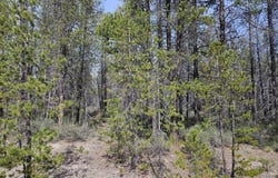 Scott View Drive, Chiloquin, OR 97624