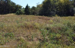 Salem Avenue, Holly Springs, MS 38635