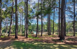 1197 Vonier Rd., Pavo, GA 31778