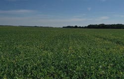 W 875 N, Bryant, IN 47326