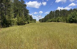 County Road 1101 County Road 1101, Shady Grove, AL 36035