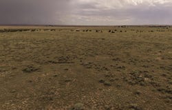 Pegasus lot: 48, Moriarty, NM 87035