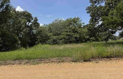 ALMA Drive, Highland, AR 72452