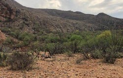 Sunset Ridge, Tubac, AZ 85646