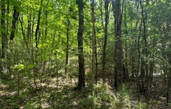 1.3 Littlefield Rd., Camden, NY 13316