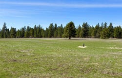 280 Brook Dr, Elk, WA 99009
