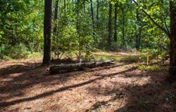 0Camp Oliver Rd, Adger, AL 35006