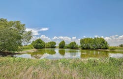 13212 Sandeen Rd, Manor, TX 78653