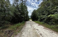 NE 155TH Court, WILLISTON, FL 32696