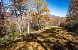 Copperhead Cove lot: 7, Sylva, NC 28779