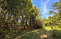 5540 Water Ave, Selma, AL 36701