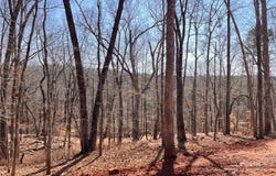 204 holly Drive, Westminster, SC 29693