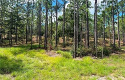 State Highway 225, Bay Minette, AL 36507