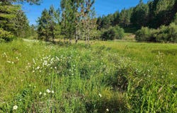 Wallen Road, Moscow, ID 83843