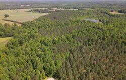 3829 Standing Pine Lane, Zebulon, NC 27597