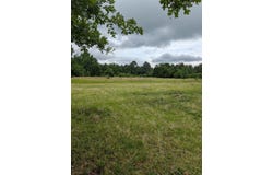 CR 3448, Hawkins, TX 75765