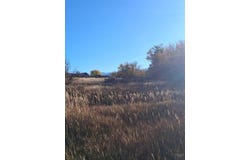 E Grand St, La Veta, CO 81055