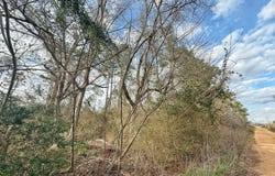 1718 Palmview Road, Cottondale, FL 32431