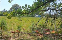 Cr 68, Bixby, MO 65439