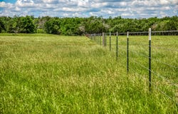 1850 Lcr 439, Mexia, TX 76667
