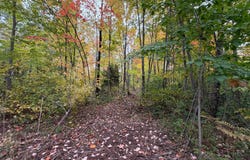 51449 Sand Creek Rd, Bruno, MN 55712
