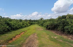 226 Van Holmes Road, Tylertown, MS 39667