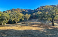 22 Arroyo Sequoia, CARMEL, CA 93923