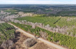 Fishing Creek Road lot: 7, Enfield, NC 27823