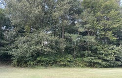 Saddle Creek Subdivision lot: 39, Murray, KY 42071