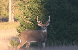 S Sullivan Road, Cedar, MI 49621