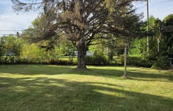 1065 Pine Road, Alpena, MI 49707