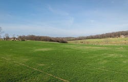 KOINER FORD RD, MOUNT CRAWFORD, VA 22841