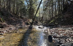 Gorge Road, Middleburgh, NY 12122