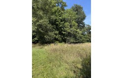 VL Greenfield Road, Bronson, MI 49028