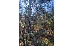Lawrence Steiner Road, Theodore, AL 36582