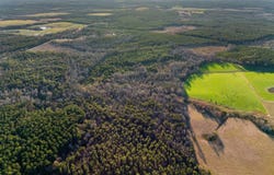Thomas Road, Millen, GA 30442